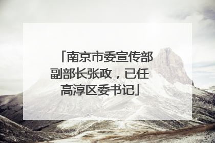 南京市委宣传部副部长张政，已任高淳区委书记