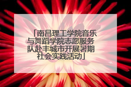 南昌理工学院音乐与舞蹈学院志愿服务队赴丰城市开展暑期社会实践活动