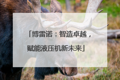 博雷诺：智造卓越，赋能液压机新未来