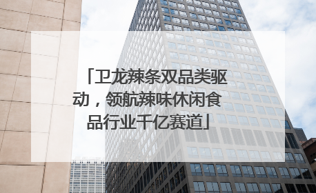 卫龙辣条双品类驱动，领航辣味休闲食品行业千亿赛道