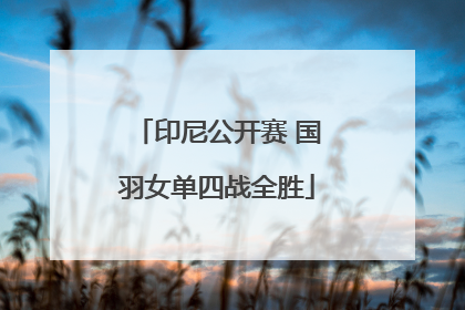 印尼公开赛 国羽女单四战全胜