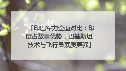 印巴军力全面对比：印度占数量优势，巴基斯坦技术与飞行员素质更强