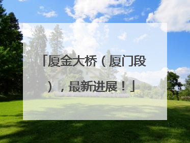 厦金大桥（厦门段），最新进展！
