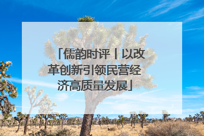 儒韵时评丨以改革创新引领民营经济高质量发展