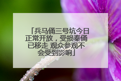 兵马俑三号坑今日正常开放，受损秦俑已移走 观众参观不会受到影响