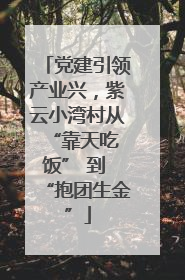 党建引领产业兴，紫云小湾村从 “靠天吃饭” 到 “抱团生金”