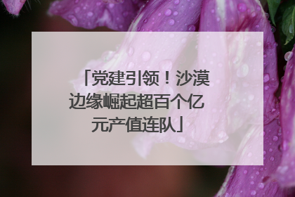 党建引领！沙漠边缘崛起超百个亿元产值连队