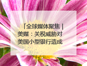 全球媒体聚焦｜美媒：关税威胁对美国小型银行造成双重打击