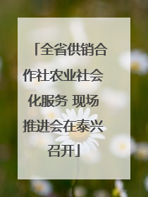全省供销合作社农业社会化服务 现场推进会在泰兴召开