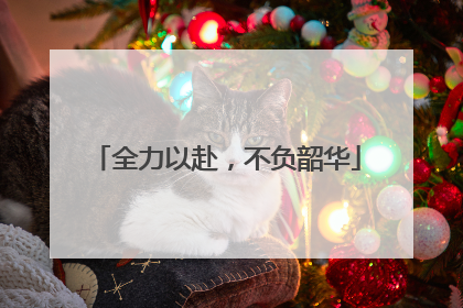 全力以赴，不负韶华