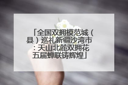 全国双拥模范城（县）巡礼新疆沙湾市：天山北麓双拥花 五届蝉联铸辉煌