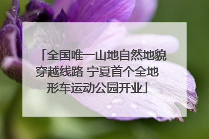全国唯一山地自然地貌穿越线路 宁夏首个全地形车运动公园开业