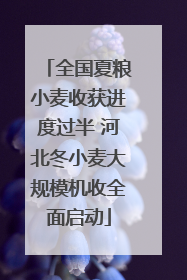 全国夏粮小麦收获进度过半 河北冬小麦大规模机收全面启动