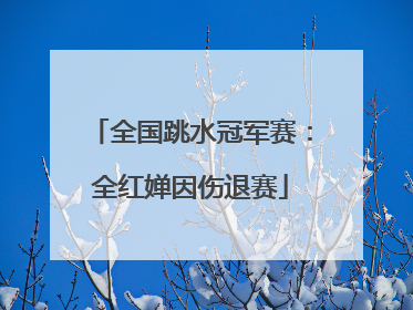 全国跳水冠军赛：全红婵因伤退赛