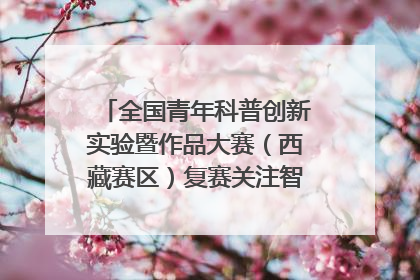 全国青年科普创新实验暨作品大赛（西藏赛区）复赛关注智慧环保等主题
