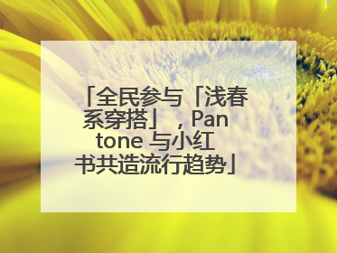 全民参与「浅春系穿搭」，Pantone 与小红书共造流行趋势