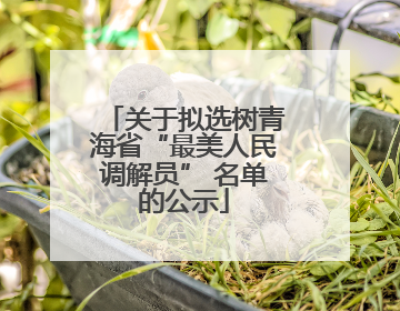 关于拟选树青海省“最美人民调解员” 名单的公示