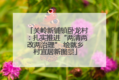 关岭新铺镇卧龙村：扎实推进“两清两改两治理” 绘就乡村宜居新图景