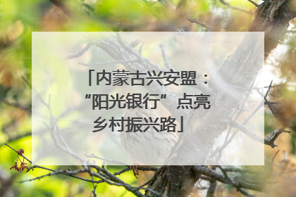 内蒙古兴安盟：“阳光银行”点亮乡村振兴路