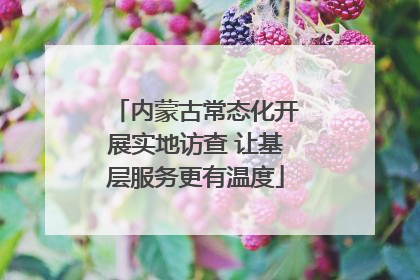 内蒙古常态化开展实地访查 让基层服务更有温度
