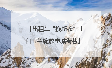 出租车“换新衣”！白玉兰绽放申城街巷
