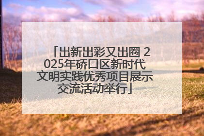 出新出彩又出圈 2025年硚口区新时代文明实践优秀项目展示交流活动举行