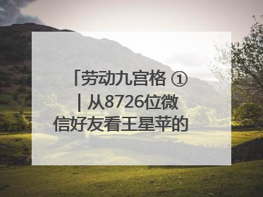 劳动九宫格 ①｜从8726位微信好友看王星苹的公益信仰与坚持