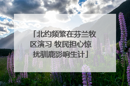 北约频繁在芬兰牧区演习 牧民担心惊扰驯鹿影响生计