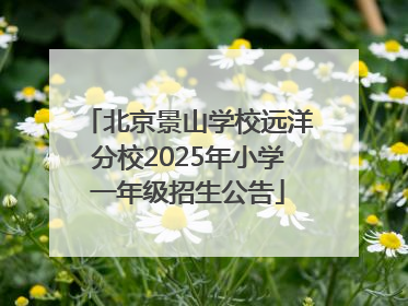 北京景山学校远洋分校2025年小学一年级招生公告