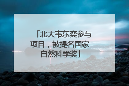 北大韦东奕参与项目，被提名国家自然科学奖