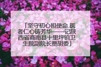 坚守初心担使命 医者仁心铸芳华——记陕西省商南县十里坪镇卫生院副院长贾胡委