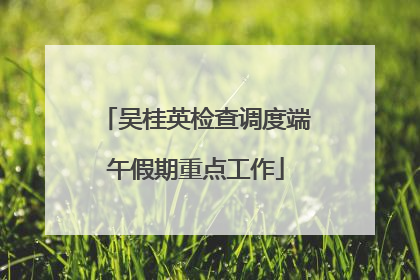 吴桂英检查调度端午假期重点工作