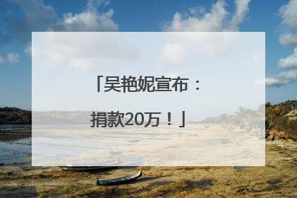 吴艳妮宣布：捐款20万！