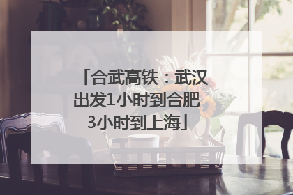 合武高铁：武汉出发1小时到合肥3小时到上海