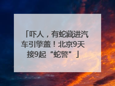 吓人，有蛇藏进汽车引擎盖！北京9天接9起“蛇警”