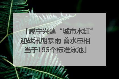 咸宁兴建“城市水缸”迎战汛期暴雨 蓄水量相当于195个标准泳池
