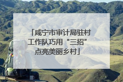 咸宁市审计局驻村工作队巧用“三招”点亮美丽乡村