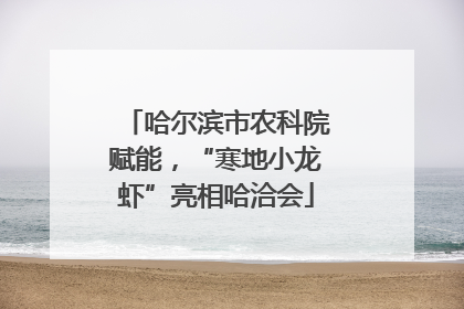 哈尔滨市农科院赋能，“寒地小龙虾”亮相哈洽会