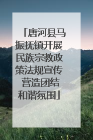 唐河县马振抚镇开展民族宗教政策法规宣传 营造团结和谐氛围
