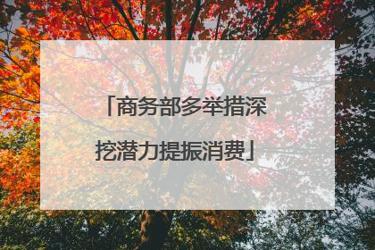 商务部多举措深挖潜力提振消费