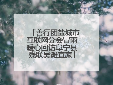善行团盐城市互联网分会冒雨暖心回访阜宁县残联吴滩宜家