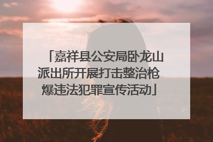 嘉祥县公安局卧龙山派出所开展打击整治枪爆违法犯罪宣传活动