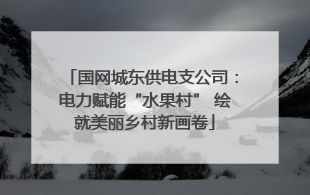 国网城东供电支公司：电力赋能“水果村” 绘就美丽乡村新画卷