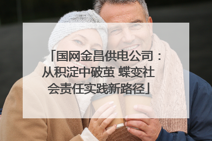 国网金昌供电公司：从积淀中破茧 蝶变社会责任实践新路径