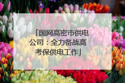 国网高密市供电公司：全力备战高考保供电工作