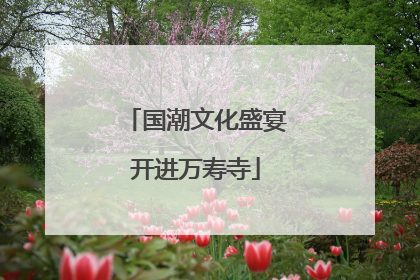 国潮文化盛宴开进万寿寺