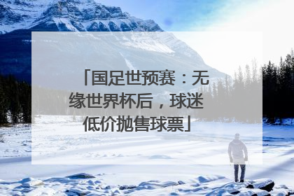 国足世预赛：无缘世界杯后，球迷低价抛售球票