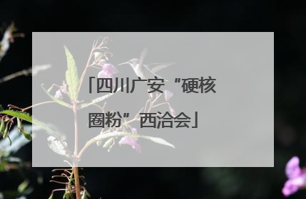 四川广安“硬核圈粉”西洽会
