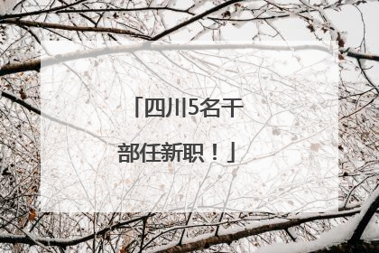 四川5名干部任新职！