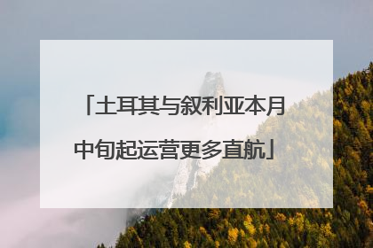 土耳其与叙利亚本月中旬起运营更多直航